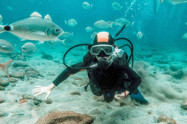 ¿Por qué el buceo en Koh Tao se ha convertido en una tendencia?, por Nitro Koh Tao - 1, Foto 1