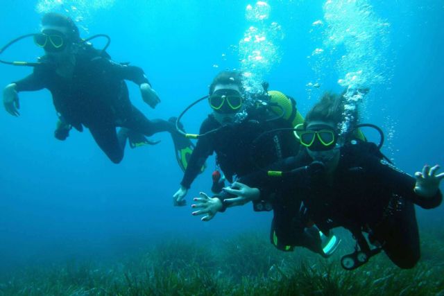 Empezar la aventura de buceo con el curso Open Water de Scuba Plus - 1, Foto 1