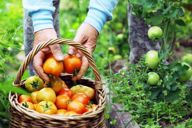 AYDOAGUA fomenta la agricultura ecológica con sus productos - 1, Foto 1