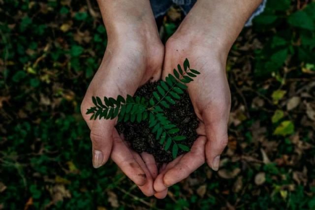 El compromiso con el medioambiente de Lyconet y MyWorld ayuda a mejorar sus opiniones - 1, Foto 1