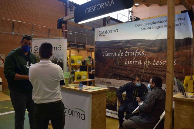 CO2 GESTIÓN, un equipo de ingenieros forestales al servicio de la creación y el mantenimiento de bosques corporativos - 1, Foto 1