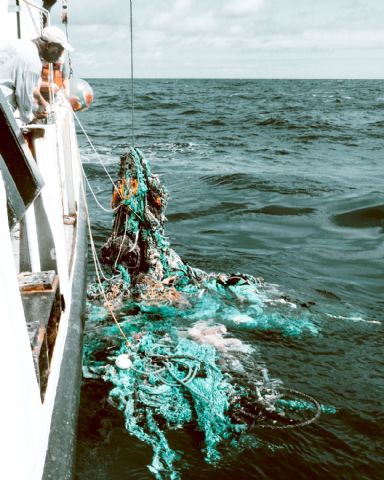 Páez Aduanas, primera agencia española del sector aduanero que limpiará el mar Mediterráneo - 1, Foto 1