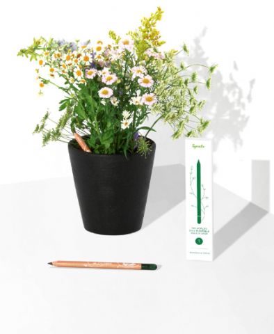 SproutWorld propone cómo sacar el máximo partido a las cejas con un delineador plantable - 1, Foto 1