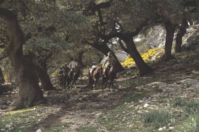 Maktub Bohemian Rides expone los beneficios que ofrece hacer paseos en caballo - 1, Foto 1