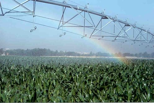 Agricultura, Pesca y Alimentación firma un convenio para invertir tres millones de euros en modernizar regadíos en la costa de Granada y Málaga - 1, Foto 1