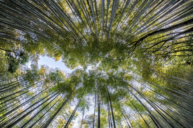 Aprobada la convocatoria para conceder las ayudas del Plan PIMA Cambio Climático - 1, Foto 1