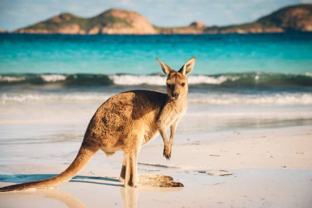 Australia va hacia España - 1, Foto 1