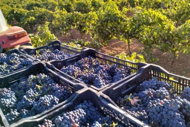 Bodegas Fernández de la Ossa elaboran sus vinos en tinajas de barro de más de 100 años - 1, Foto 1