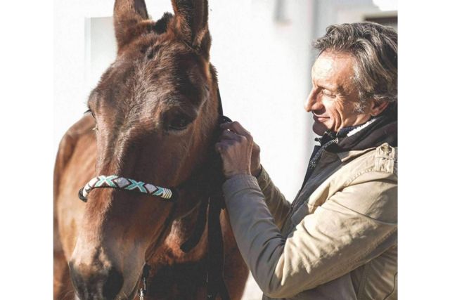 Maktub Bohemian Rides expone los beneficios físicos y mentales de pasear a caballo - 1, Foto 1