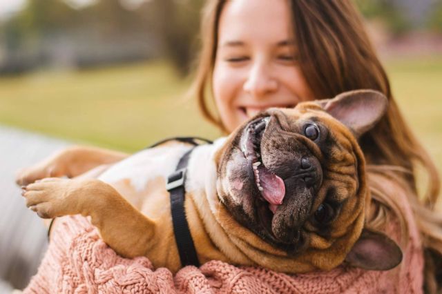 La Central del Cachorro, buscador de tiendas de mascotas para adoptar animales - 1, Foto 1