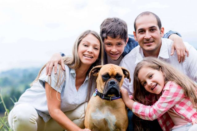 El seguro veterinario de Barkibu ayuda a evitar facturas inesperadas en la visita al veterinario - 1, Foto 1