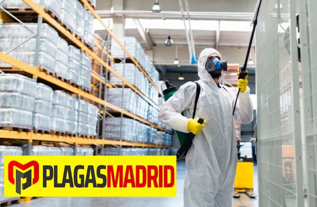 PLAGAS MADRID: ¿Cómo encontrar los mejores servicios de control de plagas? - 1, Foto 1