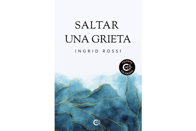 Saltar una grieta, la sorprendente novela que obra el milagro de que el lector se conozca a sí mismo - 1, Foto 1