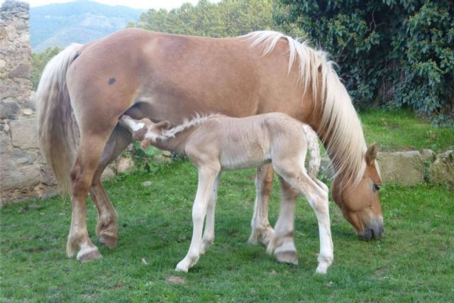 EQuaid Research dispone de un producto para solucionar y mejorar los problemas de piel - 1, Foto 1