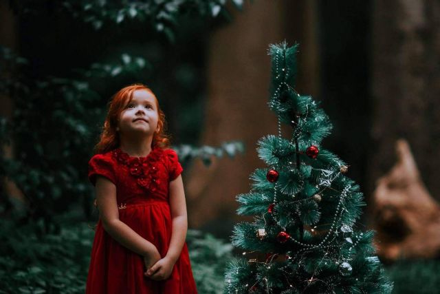 ´Especial Navidad de Constelaciones Familiares´, un taller de Pilar Rodríguez-Castillos - 1, Foto 1