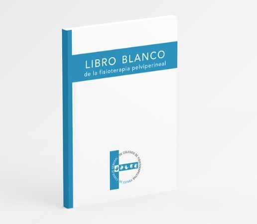 El Consejo de Fisioterapeutas publica el ´Libro blanco de la fisioterapia pelviperineal´ - 1, Foto 1