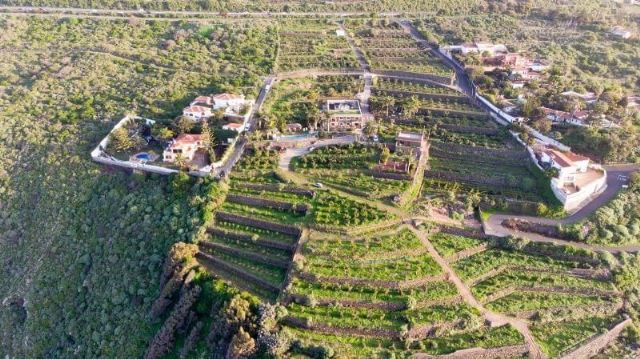 Turismo ecológico de calidad en Tenerife para desconectar de manera sostenible con San Diego Apartamentos - 1, Foto 1