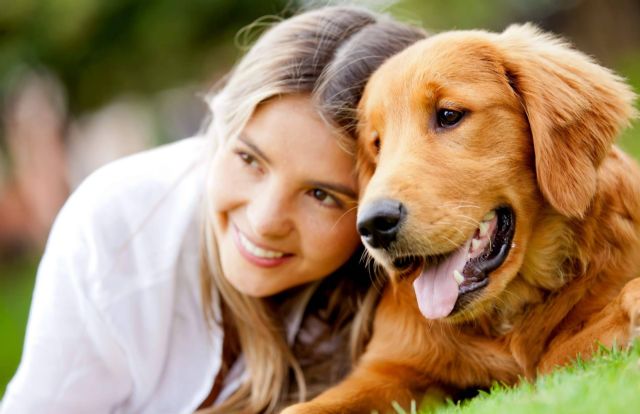 Los piensos para perros y gatos con harina de insectos son respetuosos con el medioambiente - 1, Foto 1