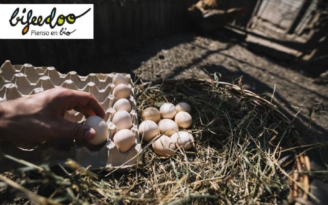 Las razas de gallinas preferidas como ponedoras, según Bifeedoo - 1, Foto 1