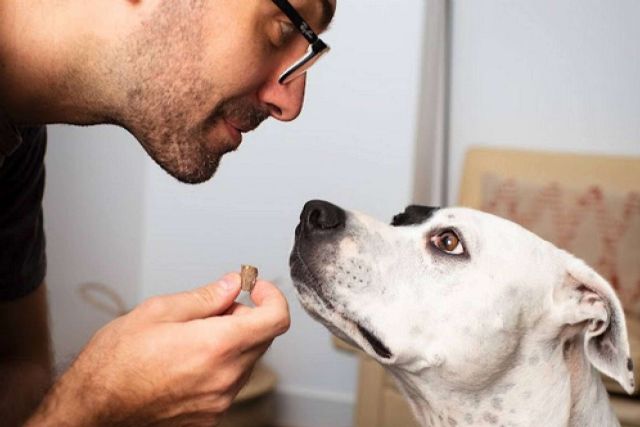 Alimento hipoalergénico, sin gluten y ecológico para mascotas, por Ginqo - 1, Foto 1