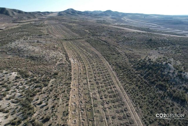 Fundación Alcoraz e ICT Ibérica crean un nuevo bosque en Zaragoza - 1, Foto 1