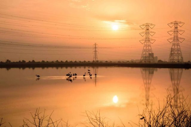 Las ventajas de dar de baja la luz en pisos de alquiler, según ISholidays - 1, Foto 1