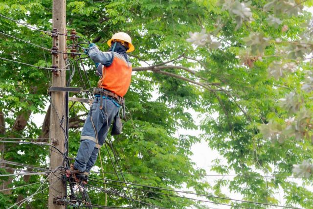 ¿Por qué es importante tener el jardín en orden?, por Podarama - 1, Foto 1