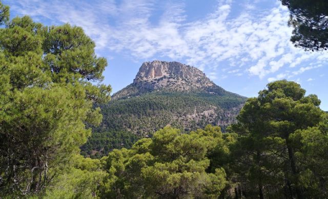 Murcia aprovechará Fitur para ocupar plazas y calles de Madrid para dar a conocer algunos de los principales atractivos turísticos - 1, Foto 1