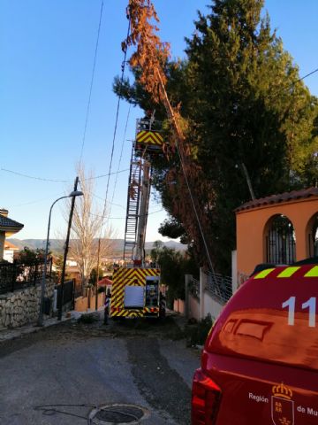 El Centro de Coordinación de Emergencias ha gestionado en las últimas 12 horas 19 incidentes provocados por el viento - 1, Foto 1