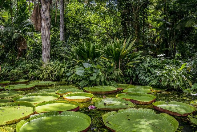 Naturaliza anima a todos los profesores del país a participar en la tercera edición de 'La Semana Redonda' - 1, Foto 1