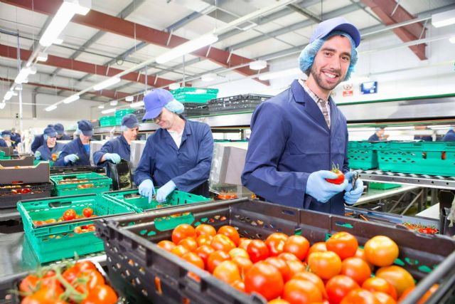 Aumentar la productividad con la automatización de los procesos en una fábrica, por Overtel - 1, Foto 1