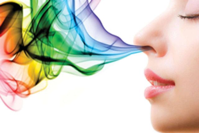 ¿Por qué es importante la aromaterapia en las tiendas y establecimientos? Scent Emotions - 1, Foto 1