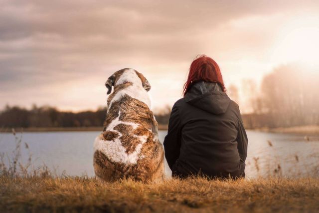 Acabar con la infelicidad laboral de la mano de El Perro Feliz - 1, Foto 1