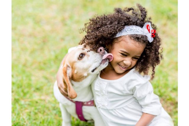 ¿Cuál es la época del año en la que se recogen más animales? - 1, Foto 1