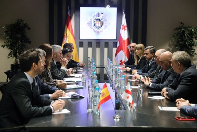 Grande-Marlaska refuerza con Georgia la máxima cooperación policial - 1, Foto 1