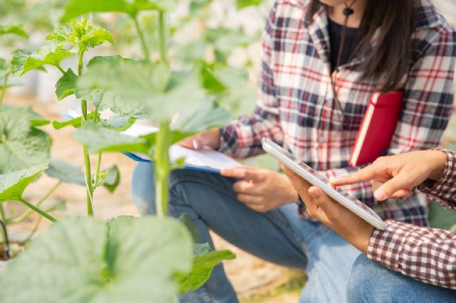 Agricultura, Pesca y Alimentación constata un importante avance de la agricultura de carbono en España - 1, Foto 1