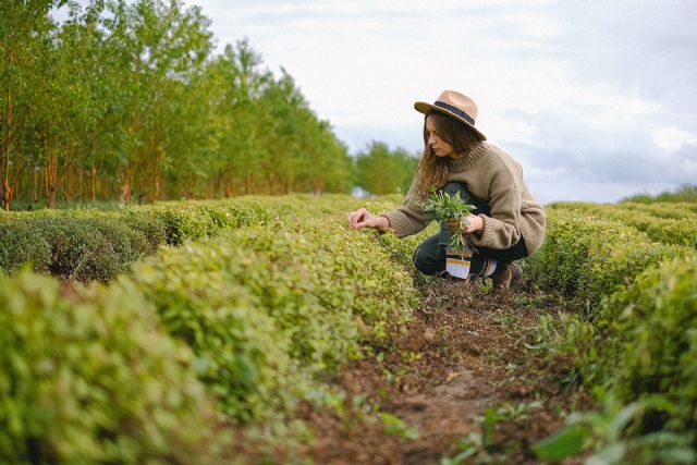 España, uno de los países líderes de Europa en emprendimiento rural y verde de las mujeres - 1, Foto 1