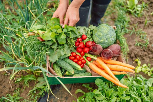 Disminución del consumo de alimentos ecológicos - 1, Foto 1