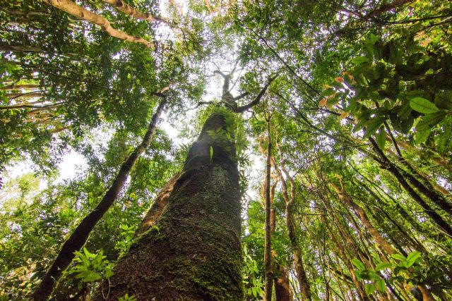 Chiloé y su desarrollo como la isla más grande al sur de Chile - 1, Foto 1