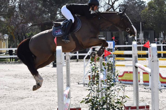 Éxito total en las inscripciones a la Copa Comunidad de Madrid de hípica - 1, Foto 1