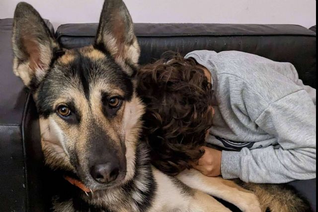 TEAsisTO y su servicio de intervenciones asistidas con animales - 1, Foto 1