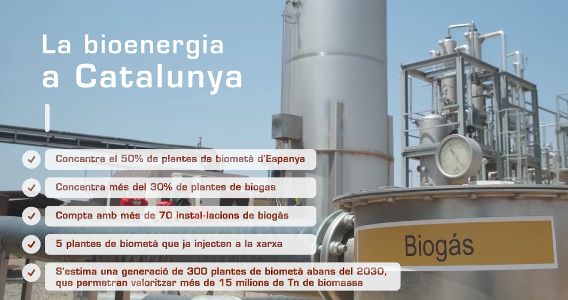 El Clúster de la Bioenergía de Catalunya (CBC) celebrará la I Noche de la Bioenergía, donde se entregarán los Premios de la Bioenergía 2023 - 1, Foto 1