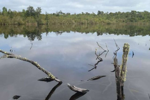 Laguna Quemchi, una compañía enfocada en la comercialización de terrenos en el sur de Chile - 1, Foto 1