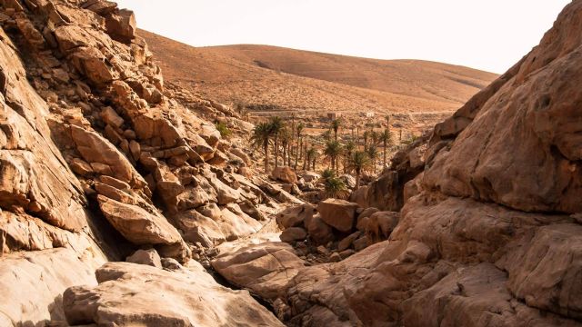 Actividades en Fuerteventura con Excursión Center Balcón Canario - 1, Foto 1