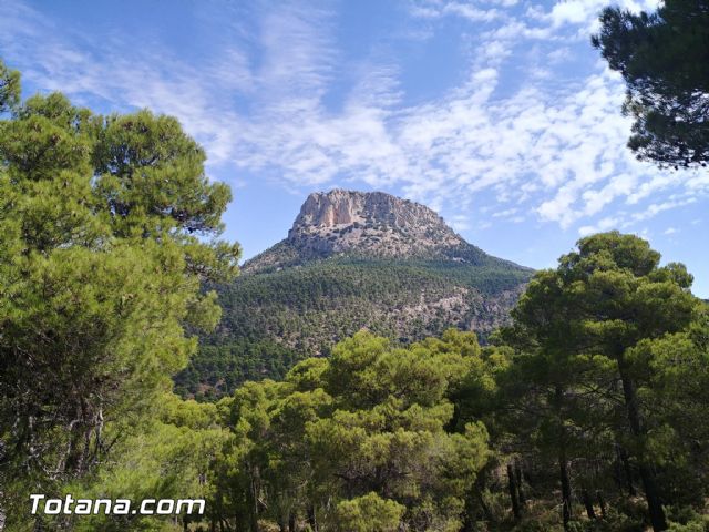 Paisajes naturales idílicos en Murcia que te harán sentir como en un cuento de hadas - 1, Foto 1