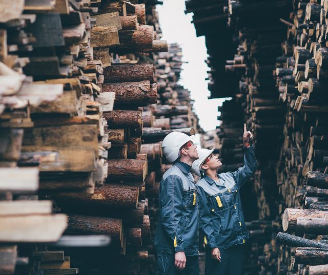 Fundación COPADE reivindica la importancia de consumir madera certificada para erradicar la deforestación y la tala ilegal - 1, Foto 1