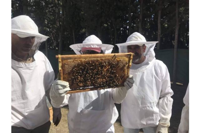 El papel de las abejas para la seguridad alimentaria y la vida saludable, por Cursos de Apicultura - 1, Foto 1