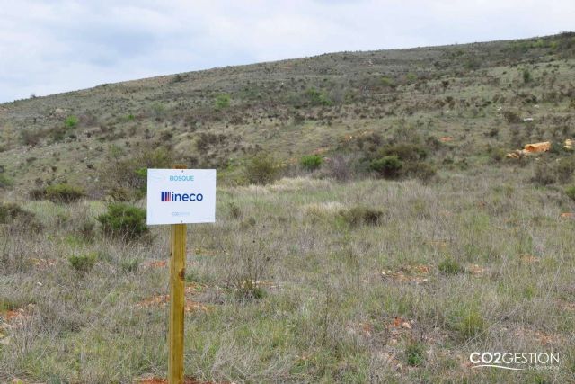 INECO compensa más de 200 toneladas de CO2 gracias a una plantación forestal en Burgos - 1, Foto 1