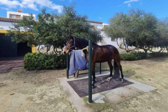 La cría de caballos de la Yeguada Encinasola - 1, Foto 1