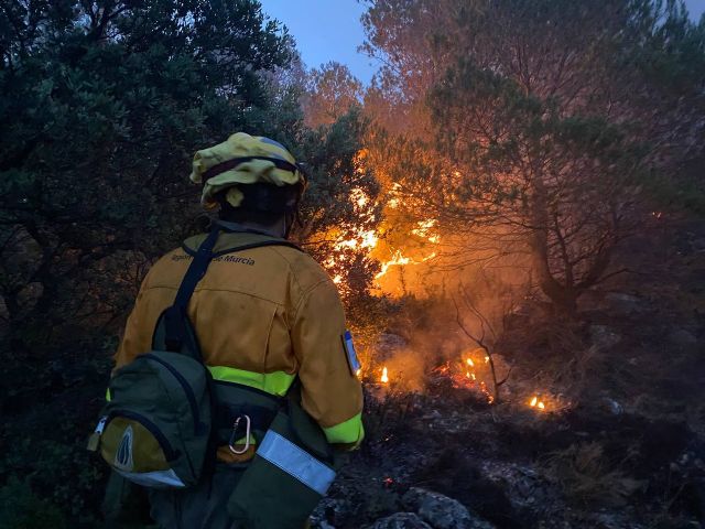 Controlado incendio en la Sierra del Carche y sigue activo el de la Sierra de la Pila - 1, Foto 1